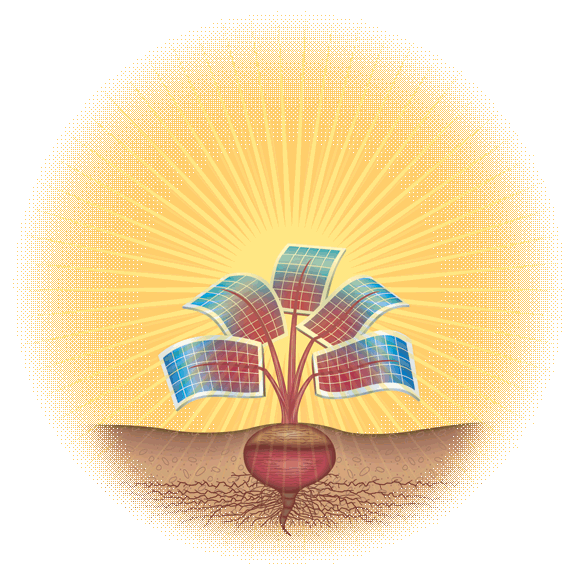 Illustrating a beet with solar panel leaves