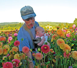Dan Pearson and his daughter Alyssa pick flowers for the farmer's marke
