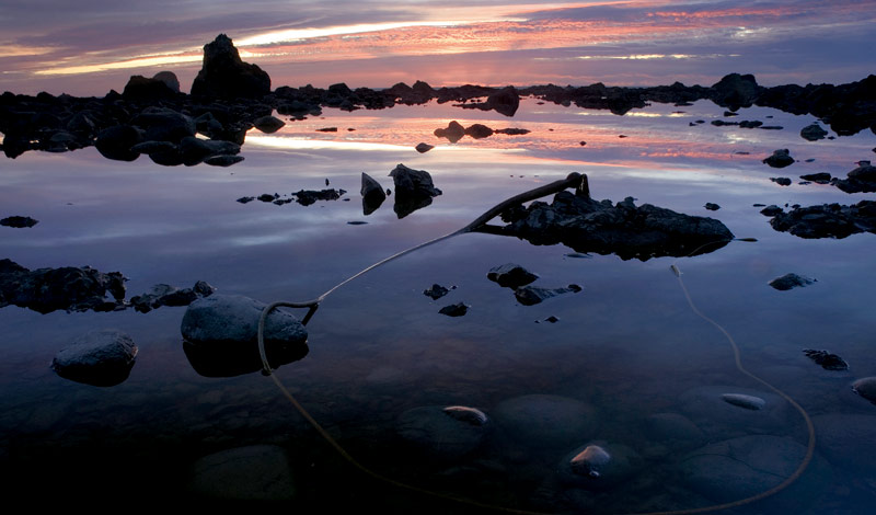 Ozette, on the Washington coast