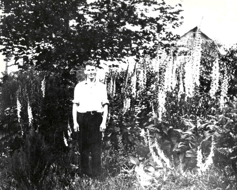 Carl English amid thriving plants in one of his test gardens. Photo courtesy U.S. Army Corps of Engineers.