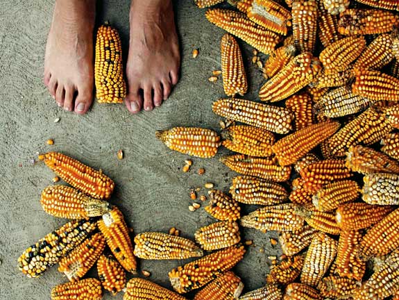 Photo by Gloria Zelaya.