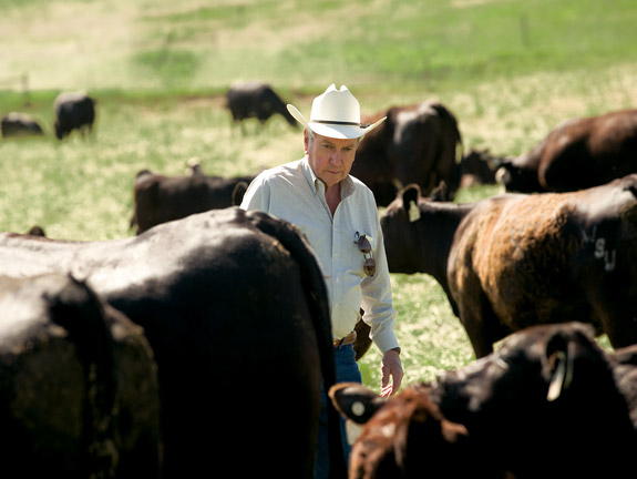 'I don't think you can have a sustainable system without integrating animals with plants,' says WSU Extension beef specialist Don Nelson. 'That is the way nature intended it.' Nelson advocates a decision-making process called holistic management, which focuses on the functioning of ecosystem processes--including community dynamics--when managing natural resources such as rangeland.