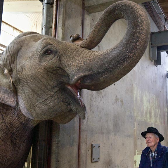 The Oregon Zoo's first veterinarian Matthew "Doc" Maberry '47 visits some old friends at the zoo.