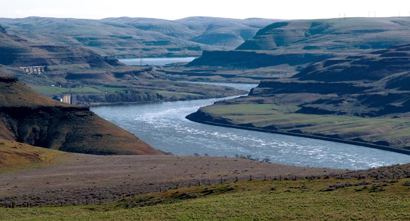 Many remains were disinterred prior to flooding by Snake River dams. Photo by John Clement