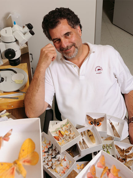 James Entomology Collection director Rich Zack, with a few of the 30,000 specimens he collected in Guatemala in collaboration with Peter Landolt '78, Ph.D. Entomology of the USA and colleagues at the Universidad del Valle de Guatemala. Their survey of insect diversity in high elevation habitats in Guatemala is funded by the Maurice T. and Helen James Endowment.