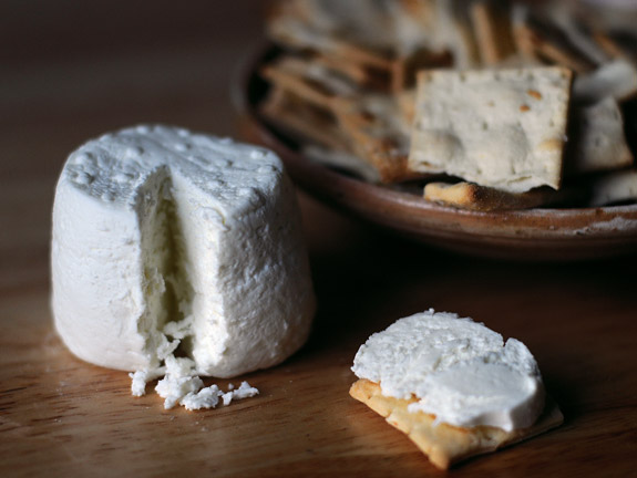 photo of Chèvre cheese