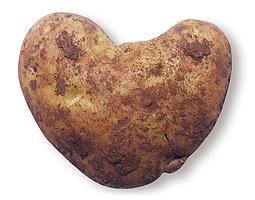 photo of heart-shaped potato by Michael Hopkinsii