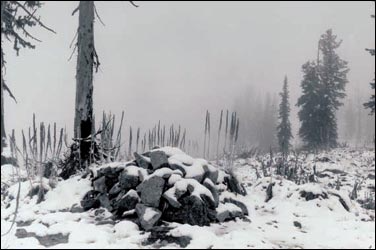 Indian Post Office on Lolo Trail, Bitterroot Mountains, Idaho