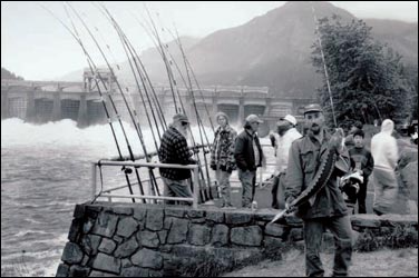 Man with a sturgeon, Bonneville Dam, Oregon