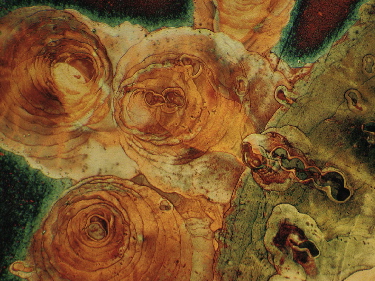 photomicrograph of thin copper film surface