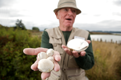 Eugene Thrasher clamming