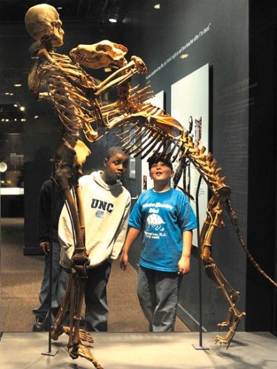 The skeletons of Krantz and Clyde