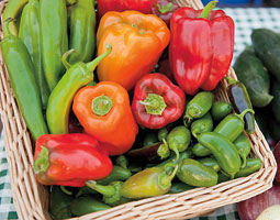 basket of vegetables