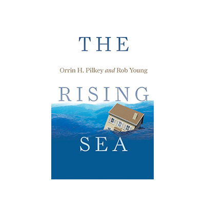 risingsea-cover
