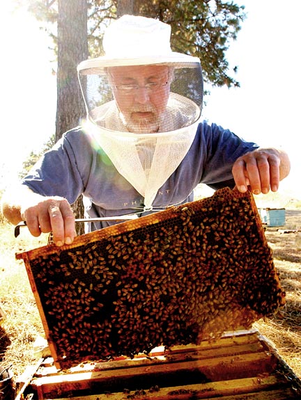 entomologist Steve Sheppard