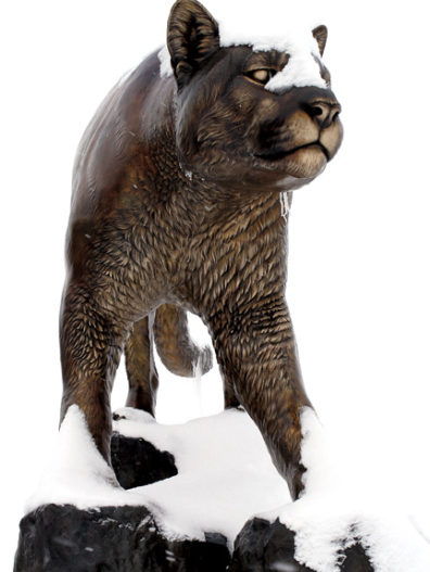 Cougar bronze sculpture