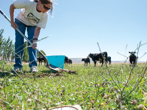 WSU entomologist Holly Ferguson