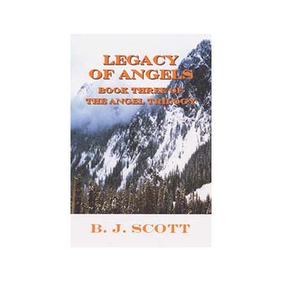 9781434383334_cover.indd