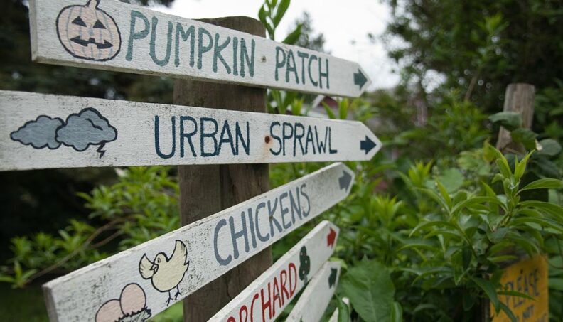 Signs at Terry's Berries farm in Tacoma