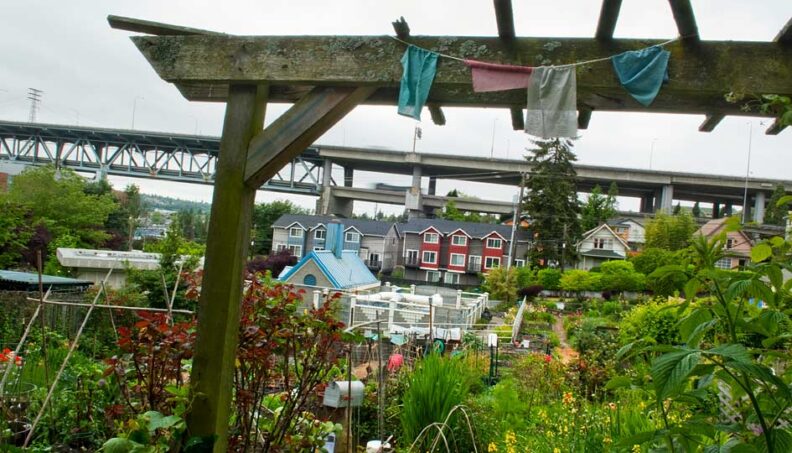 The U-District P-Patch