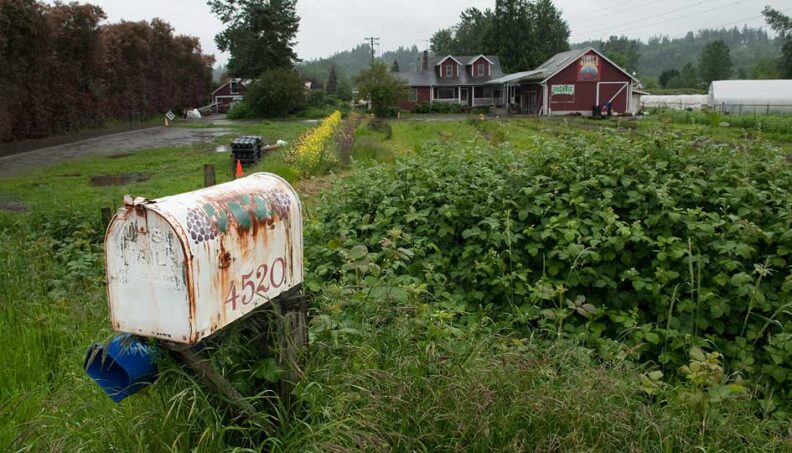 Terry's Berries Farm in Tacoma