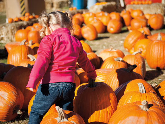 child in pumpkin patch