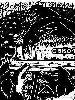 Illustration by Evon Zerbetz from Dog Days, Raven Nights