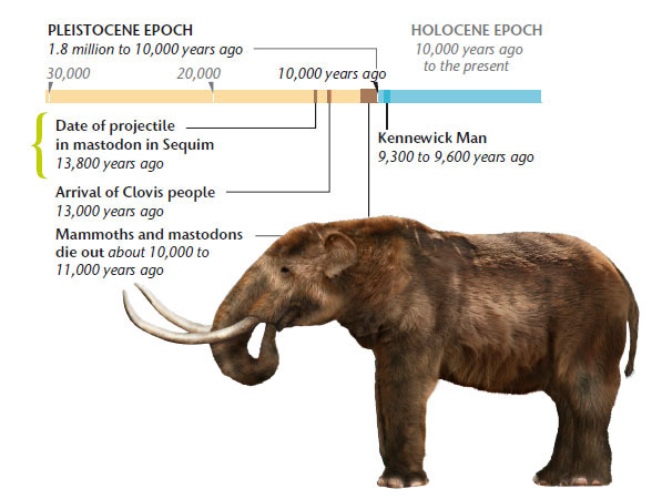 Mastodon timeline