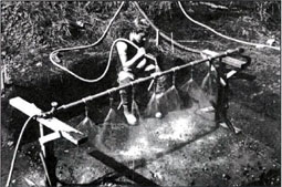Washing bones from the gravely backdirt.