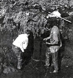 Dr. Peter Mehringer and Kenneth Petersen collecting pollen and seeds from the site
