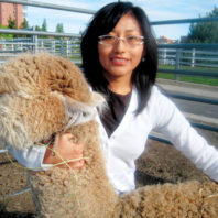 Yessenia Picha with an alpaca at WSU