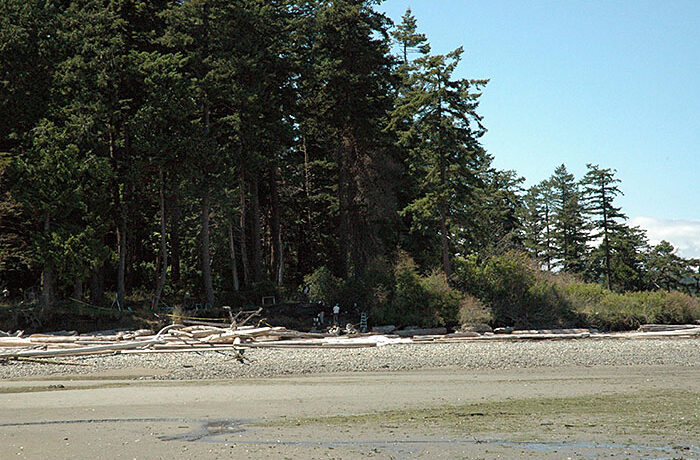 Shoreline of Galiano