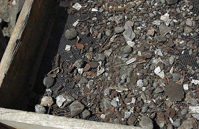 Screening findings at Galiano