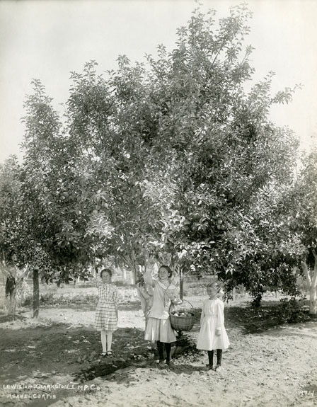 Photo Asahel Curtis/Courtesy WSU Manuscripts, Archives, and Special Collections