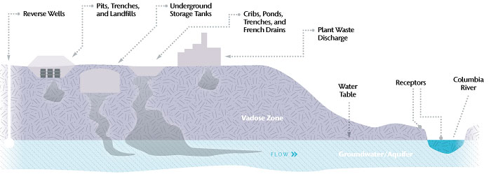 Polluted groundwater from Hanford seeps into the Columbia River in the Hanford Reach. Federal and state agencies are undertaking major efforts to clean up the groundwater and prevent its movement to the river. Illustration sourceworks Pacific Northwest National Laboratory