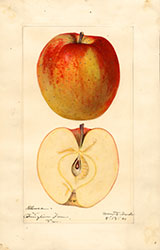 Palouse, by Mary Daisy Arnold.