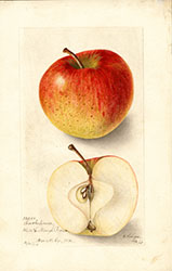 Smokehouse, by Bertha Heiges.