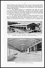 The Puyallup Laying House