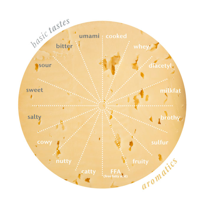 Cheese flavor wheel