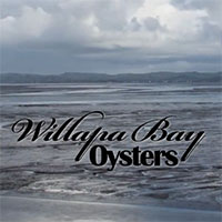 Willapa Bay Oysters video
