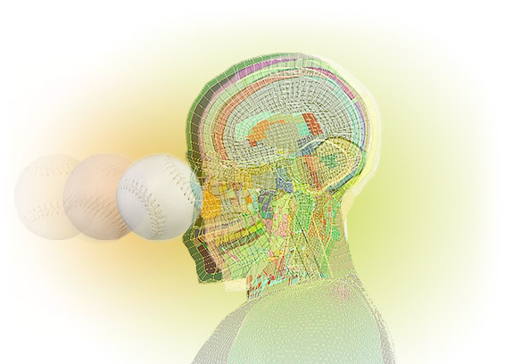 Show me where it hurts: To begin calculating the forces of a ball on a human head, WSU’s Sports Science Laboratory turned to the virtual head of Toyota’s Total Human Model for Safety. Based on data drawn from cadavers and high-resolution CT scans, the color-coded model helped researchers determine that two balls approved for regulation play can have vastly different effects on a head. They also saw how where the ball hits can make a huge difference in its potential for injury and death.