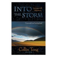 Into the Storm cover