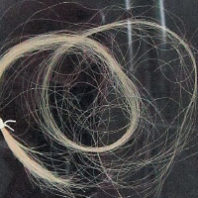 Narcissa Whitman's hair