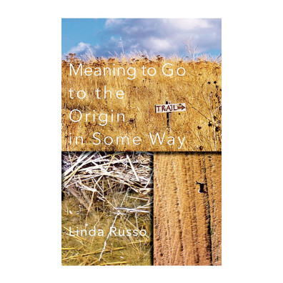 Meaning to Go to the Origin in Some Way cover