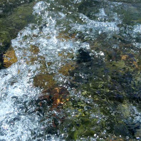 Tucannon River video poster