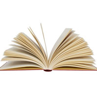 Book - Briefly Noted