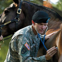 A veterinarian to the corps