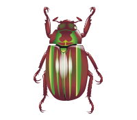 Chrysina quetzalcoatli