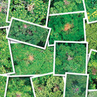 Looking over endangered creatures thumb