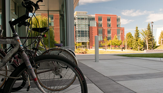 Bikes, by Zach Mazur